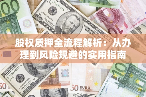 武汉股权质押全流程解析：从办理到风险规避的实用指南