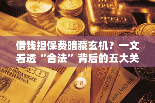 武汉借钱担保费暗藏玄机？一文看透“合法”背后的五大关键陷阱