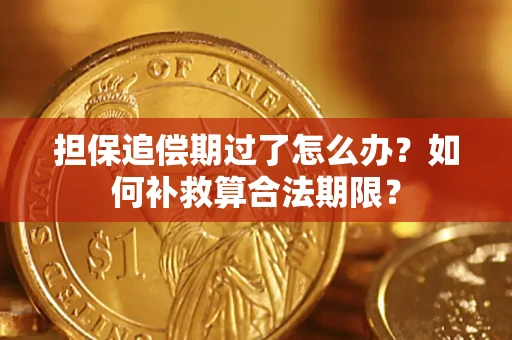武汉担保追偿期过了怎么办？如何补救算合法期限？