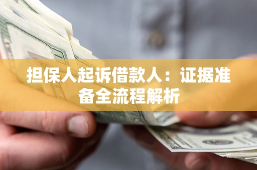 武汉担保人起诉借款人：证据准备全流程解析