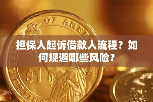 武汉担保人起诉借款人流程？如何规避哪些风险？