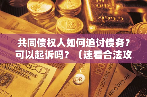 武汉共同债权人如何追讨债务？可以起诉吗？（速看合法攻略）