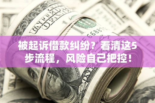 武汉被起诉借款纠纷？看清这5步流程，风险自己把控！