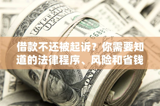 武汉借款不还被起诉？你需要知道的法律程序、风险和省钱技巧