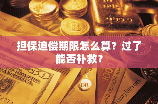 武汉担保追偿期限怎么算？过了能否补救？